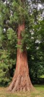 172 Arley Arboretum and Gardens &ndash; &copy; Konrad Füssel (Eberhardt TRAVEL)