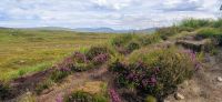 293 Highlands, Rannoch Moor &ndash; &copy; Konrad Füssel (Eberhardt TRAVEL)