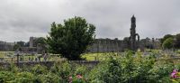 349 St. Andrews, Cathedral &ndash; &copy; Konrad Füssel (Eberhardt TRAVEL)