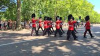 Die alte Garde kommt zurück  &ndash; &copy; Marlies Thrum (Eberhardt TRAVEL)