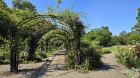 Unterwegs im Hyde Park  &ndash; &copy; Marlies Thrum (Eberhardt TRAVEL)
