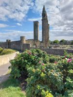 20240806 St. Andrews Cathedral 01 &ndash; &copy; Frank Reininghaus (Eberhardt TRAVEL)