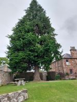 20240808 Melrose Abbey 02 &ndash; &copy; Frank Reininghaus (Eberhardt TRAVEL)
