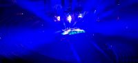 In der Royal Albert Hall  &ndash; &copy; Marlies Thrum (Eberhardt TRAVEL)