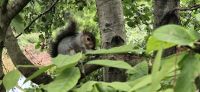 Gäste im St. James's Park  &ndash; &copy; Marlies Thrum (Eberhardt TRAVEL)