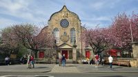 KIrschblüten vor der Canongate Kirk &ndash; &copy; Marlies Thrum (Eberhardt TRAVEL)