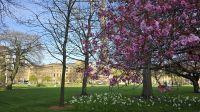 St. Andrew Square &ndash; &copy; Marlies Thrum (Eberhardt TRAVEL)