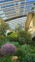 136 - London, Sky Garden