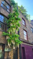 089 - London, Whitechapel