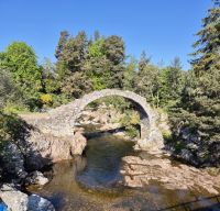 SCO-Dampf-25-0517 die malerische Carrbridge &ndash; &copy; Scharnhorst Eberlein (Eberhardt TRAVEL)