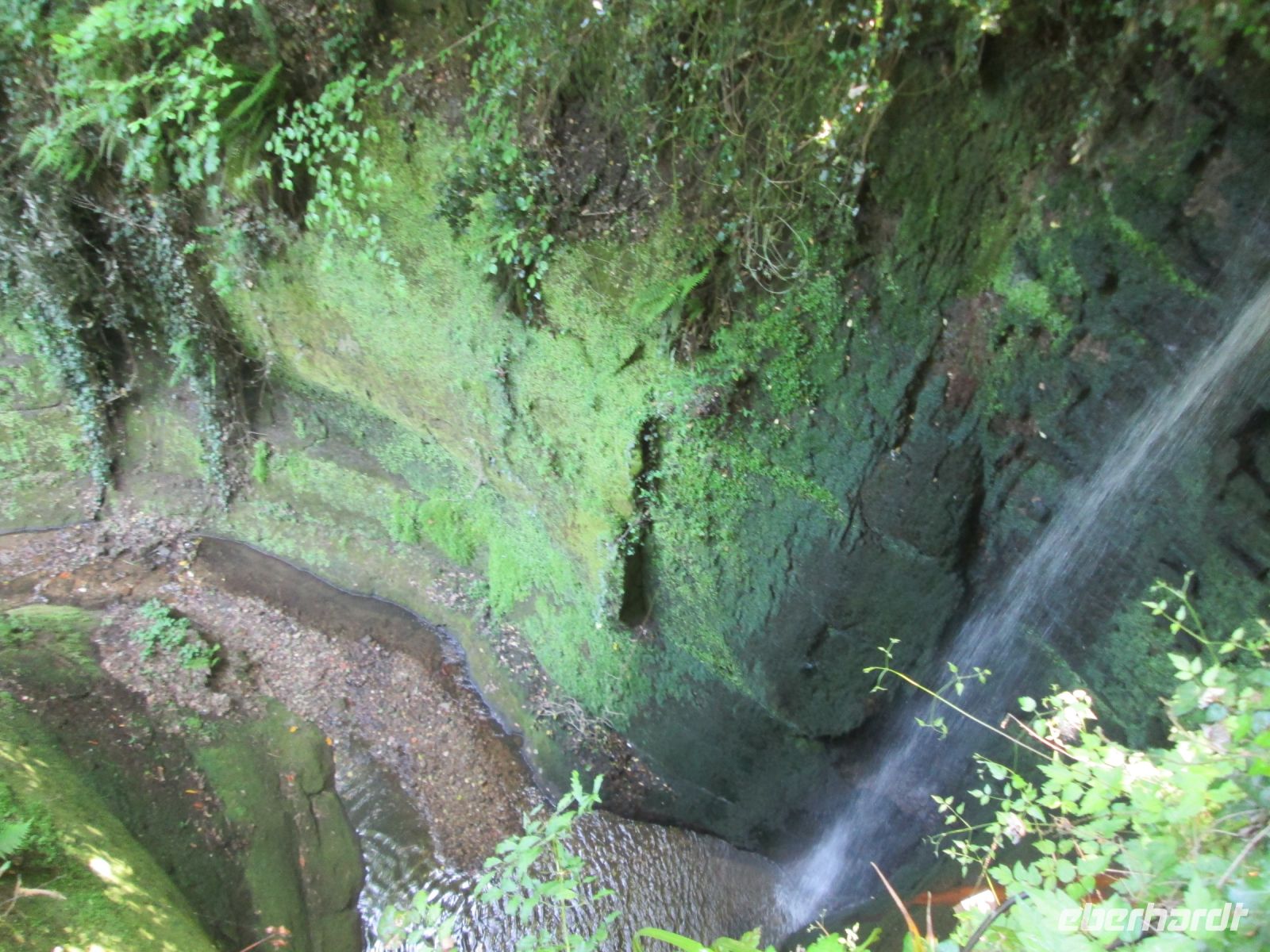 Shanklin Chine &ndash; &copy; Heike Heinen (Eberhardt TRAVEL)