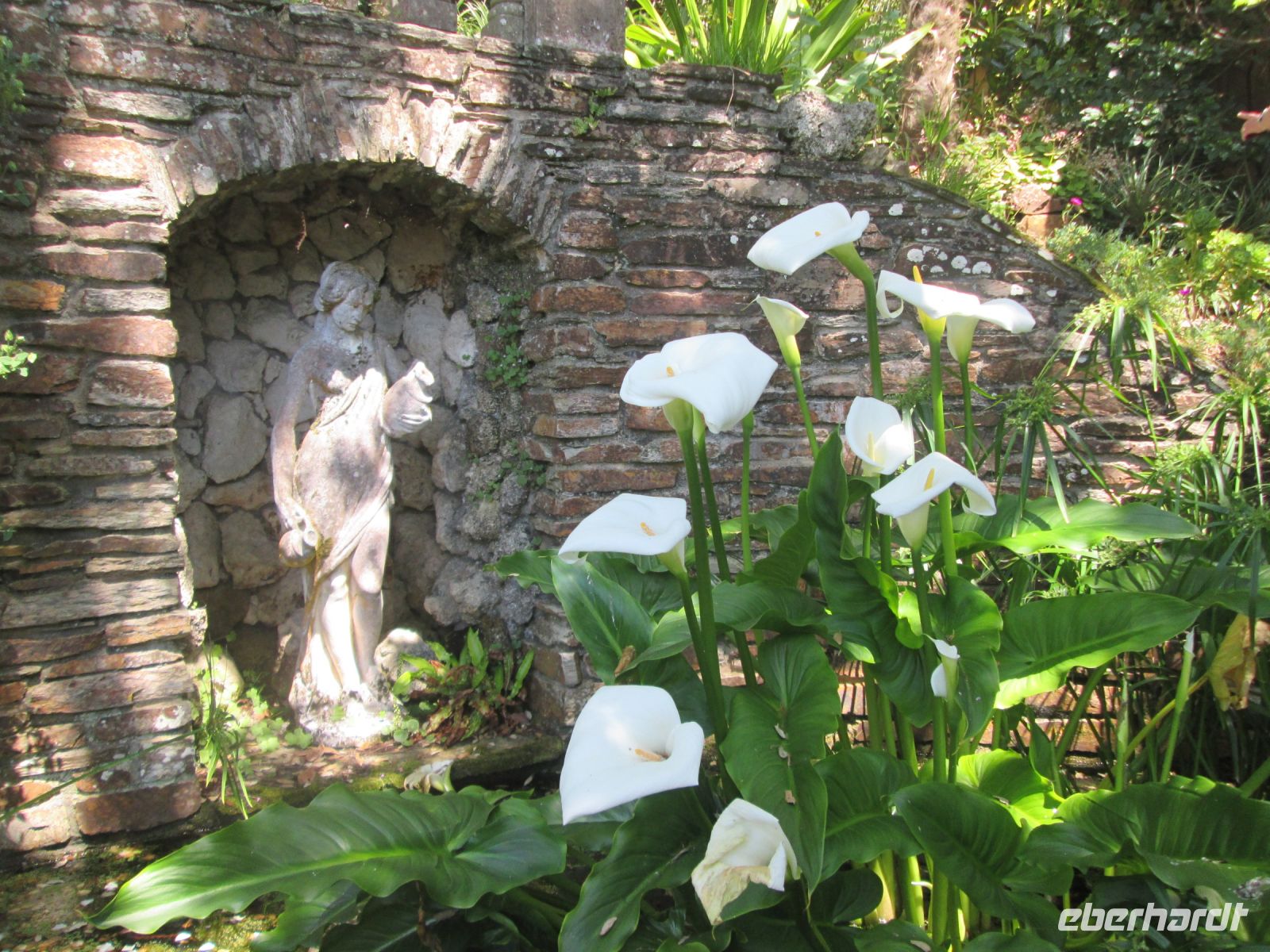 Lamorran Garten &ndash; &copy; Heike Heinen (Eberhardt TRAVEL)
