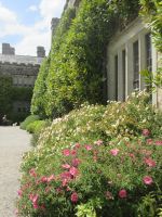 Lanhydrock &ndash; &copy; Heike Heinen (Eberhardt TRAVEL)