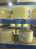 das fertige Produkt: leckerer Cheddar &ndash; &copy; Heike Heinen (Eberhardt TRAVEL)