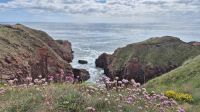 Seaton Cliffs Trail &ndash; &copy; Sinah Witzig (Eberhardt TRAVEL)