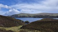 Hermaness Nature Reserve &ndash; &copy; Sinah Witzig (Eberhardt TRAVEL)