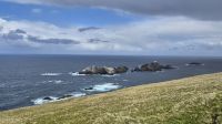Hermaness Nature Reserve