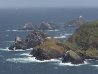 Hermaness Nature Reserve &ndash; &copy; Sinah Witzig (Eberhardt TRAVEL)