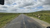 unterwegs im Dartmoor &ndash; &copy; Marlies Thrum (Eberhardt TRAVEL)