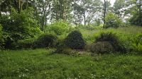 Lost Gardens of Heligan- Mudmaid &ndash; &copy; Marlies Thrum (Eberhardt TRAVEL)