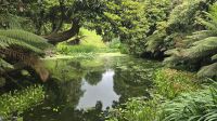 Lost Gardens of Heligan &ndash; &copy; Marlies Thrum (Eberhardt TRAVEL)