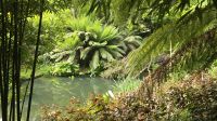 Lost Gardens of Heligan &ndash; &copy; Marlies Thrum (Eberhardt TRAVEL)