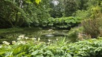 Trewidden Garden &ndash; &copy; Marlies Thrum (Eberhardt TRAVEL)