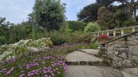 Abteigärten auf Tresco &ndash; &copy; Marlies Thrum (Eberhardt TRAVEL)