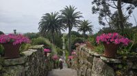 Abteigärten auf Tresco &ndash; &copy; Marlies Thrum (Eberhardt TRAVEL)