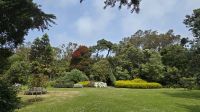 Abteigärten auf Tresco &ndash; &copy; Marlies Thrum (Eberhardt TRAVEL)