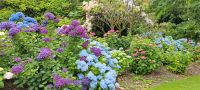 Im Garten &ndash; &copy; Sylvia Führ (Eberhardt TRAVEL)