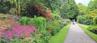 Im Garten