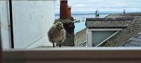 Wo bleibt die Mama? &ndash; &copy; Sylvia Führ (Eberhardt TRAVEL)