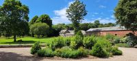 Trelissick  &ndash; &copy; Sylvia Führ (Eberhardt TRAVEL)