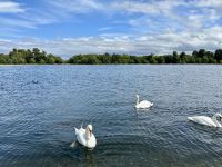 Kensington Gardens &ndash; &copy; Janett Adam (Eberhardt TRAVEL)