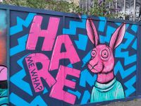 Hase  &ndash; &copy; Andreas Böcker (Eberhardt TRAVEL)