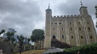 Tower of London mit Mohnblüten  &ndash; &copy; Marlies Thrum (Eberhardt TRAVEL)