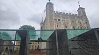Die Raben im Tower of London  &ndash; &copy; Marlies Thrum (Eberhardt TRAVEL)