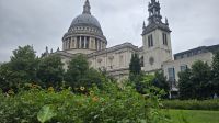 St. Paul´s Kathedrale &ndash; &copy; Marlies Thrum (Eberhardt TRAVEL)