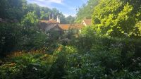 Bummeln durch St. James´s Park &ndash; &copy; Marlies Thrum (Eberhardt TRAVEL)
