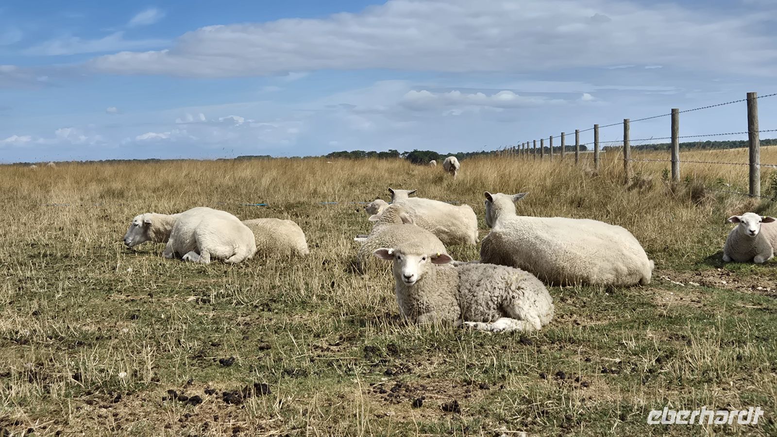 Salisbury Plains &ndash; &copy; Sinah Witzig (Eberhardt TRAVEL)