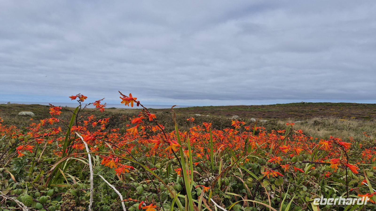 Land's End &ndash; &copy; Sinah Witzig (Eberhardt TRAVEL)