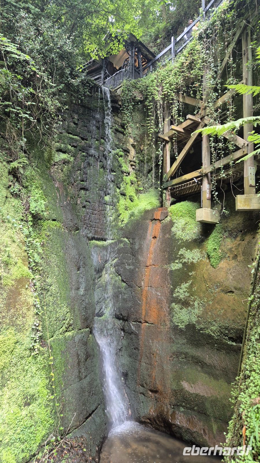 Shanklin Chine &ndash; &copy; Sinah Witzig (Eberhardt TRAVEL)