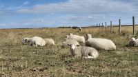 Salisbury Plains &ndash; &copy; Sinah Witzig (Eberhardt TRAVEL)