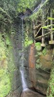 Shanklin Chine &ndash; &copy; Sinah Witzig (Eberhardt TRAVEL)