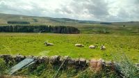 Schottland &ndash; &copy; Allina Anderer (Eberhardt TRAVEL)