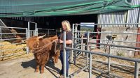 Besuch Aberdeenshire Farm von Grace &ndash; &copy; Marlies Thrum (Eberhardt TRAVEL)