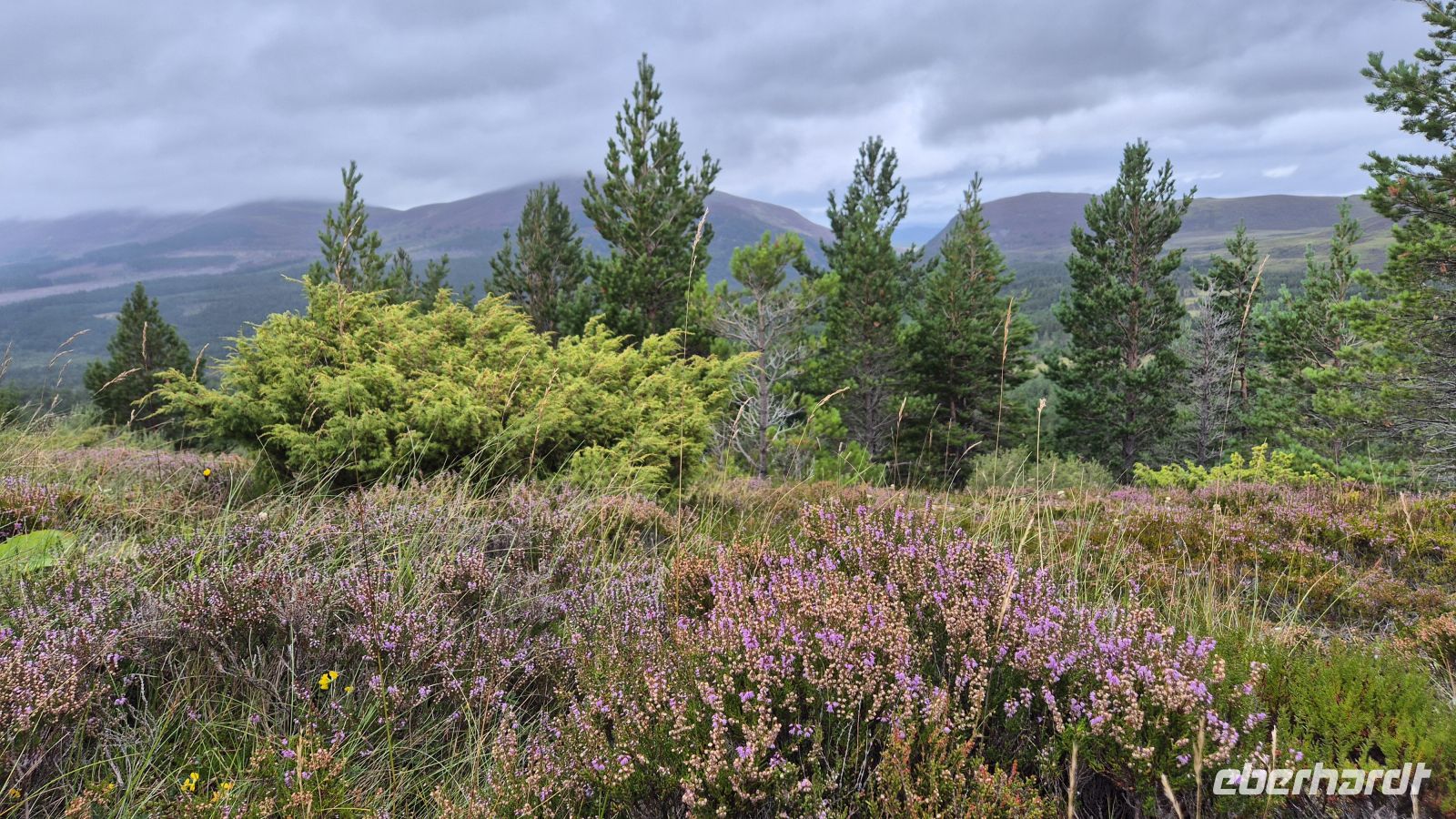 Cairngorms Nationalpark &ndash; &copy; Sinah Witzig (Eberhardt TRAVEL)