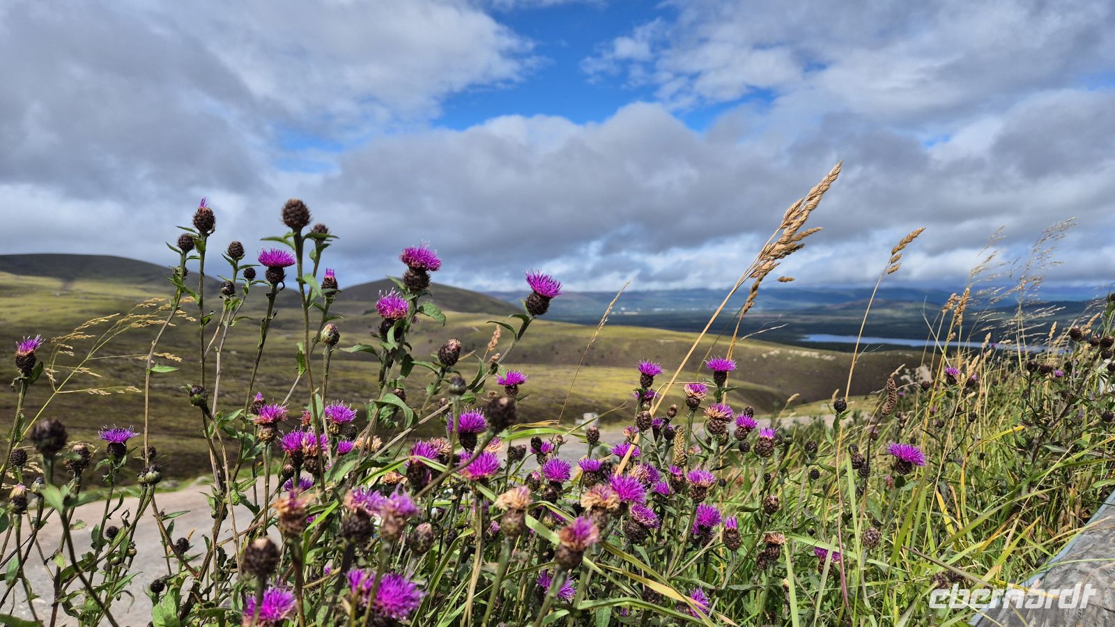 Cairngorms Nationalpark &ndash; &copy; Sinah Witzig (Eberhardt TRAVEL)