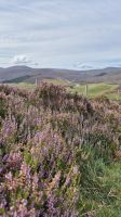 Cairngorms Nationalpark &ndash; &copy; Sinah Witzig (Eberhardt TRAVEL)